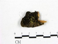 登錄號:F0000413藏品圖，第1張