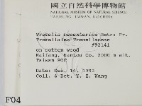 登錄號:F0000414藏品圖，第2張