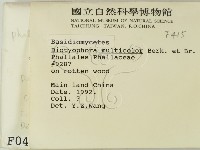 館號:F0000415藏品圖，第2張
