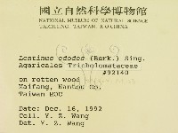 登錄號:F0000416藏品圖，第2張