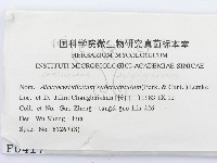 登錄號:F0000417藏品圖，第2張