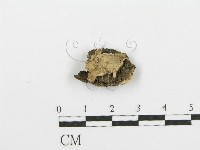 登錄號:F0000417藏品圖，第1張