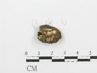 登錄號:F0000417藏品圖，第3張