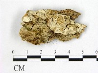 登錄號:F0000418藏品圖，第1張