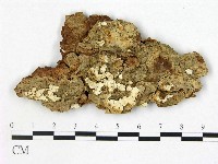 登錄號:F0000419藏品圖，第1張