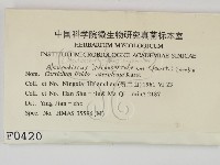 登錄號:F0000420藏品圖，第2張