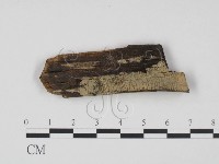 登錄號:F0000420藏品圖，第1張