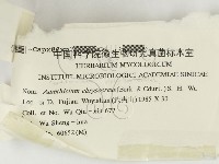 登錄號:F0000421藏品圖，第3張