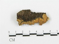 登錄號:F0000421藏品圖，第1張