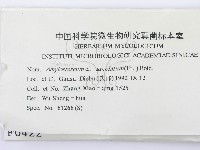 登錄號:F0000422藏品圖，第2張