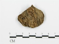 登錄號:F0000422藏品圖，第3張