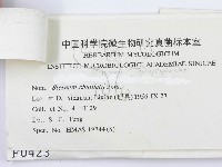 登錄號:F0000423藏品圖，第3張