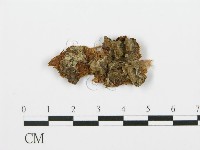 登錄號:F0000423藏品圖，第1張