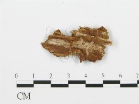 登錄號:F0000423藏品圖，第4張