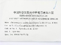 登錄號:F0000424藏品圖，第2張