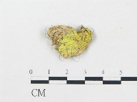 登錄號:F0000424藏品圖，第1張