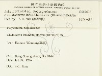 登錄號:F0000428藏品圖，第2張