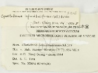 登錄號:F0000428藏品圖，第3張
