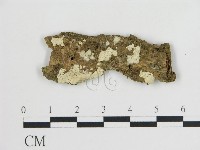 登錄號:F0000429藏品圖，第1張