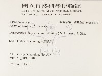 登錄號:F0000430藏品圖，第2張