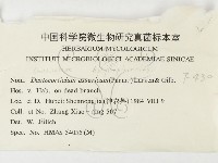 登錄號:F0000430藏品圖，第3張