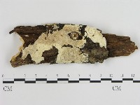登錄號:F0000430藏品圖，第1張