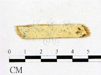 登錄號:F0000431藏品圖，第1張