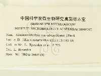 登錄號:F0000432藏品圖，第3張