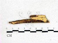 登錄號:F0000432藏品圖，第1張