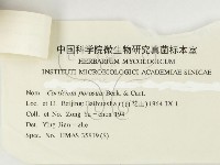 登錄號:F0000433藏品圖，第4張