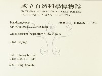 登錄號:F0000434藏品圖，第2張
