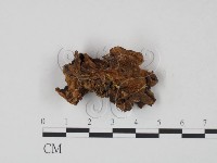 登錄號:F0000434藏品圖，第1張