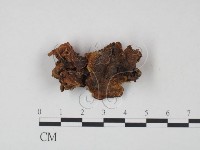 登錄號:F0000434藏品圖，第4張