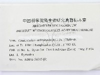 登錄號:F0000435藏品圖，第2張