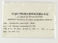 登錄號:F0000436藏品圖，第3張