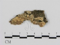 登錄號:F0000436藏品圖，第1張