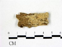 登錄號:F0000438藏品圖，第1張