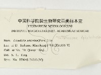 登錄號:F0000441藏品圖，第3張