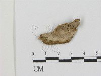 登錄號:F0000441藏品圖，第1張