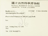 登錄號:F0000442藏品圖，第2張