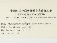 登錄號:F0000442藏品圖，第3張