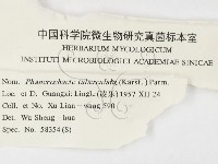 登錄號:F0000443藏品圖，第3張
