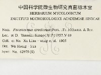 登錄號:F0000444藏品圖，第3張