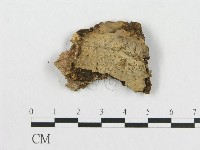 登錄號:F0000444藏品圖，第1張