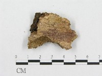 登錄號:F0000444藏品圖，第4張