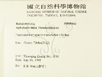 登錄號:F0000445藏品圖，第2張