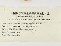 登錄號:F0000445藏品圖，第3張