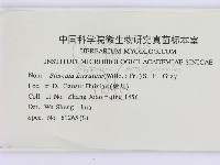 登錄號:F0000446藏品圖，第2張