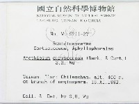 登錄號:F0000447藏品圖，第2張