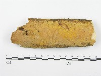 登錄號:F0000447藏品圖，第1張
